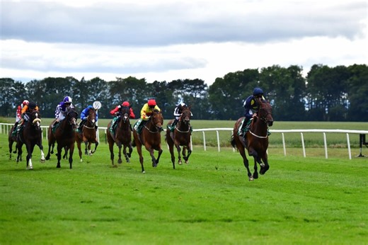 James Tate duo primed for Sky Bet Thirsk Hunt Cup