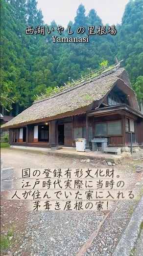 山梨県の西湖畔にある西湖いやしの里根場！茅葺き屋根の家々が立ち並ぶまるで昔の日本にタイムスリップしたような美しい風景が広がります。富士山を眺め昔ながらの日本の原風景を楽しめる#山梨#河口湖#旅行