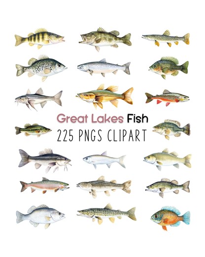 Freshwater Lake Fish Clipart: 225 Watercolor PNG Bundle (digital Download) - Etsy