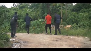 Understanding Arrest Procedures in Selina Tested