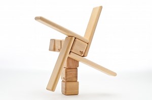 Building Blocks of Social Change