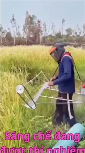 Sáng chế máy gì đây nhỉ các bác nhỉ??? #goldseed #giongluanangsuat #nongnghiep