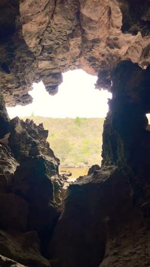 🕳️🌿Nature’s Window — a cliff-top cave alive with wild flight 🦇🌄