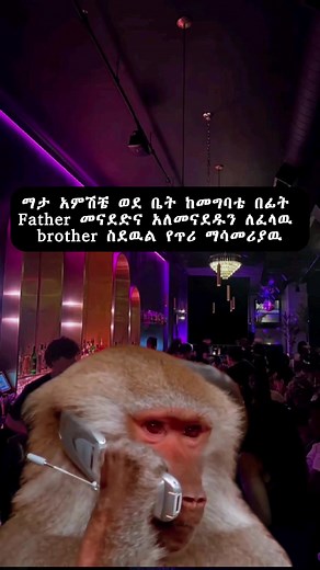 Explore Hilarious Habesha Memes for Fun