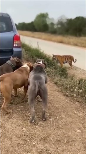 wow 🤯 what would have happened