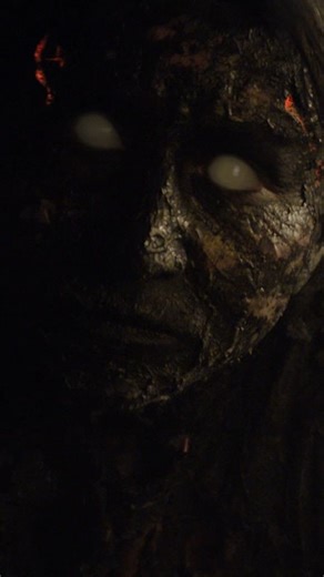 DARK SKY FILMS on Instagram: "Don't go in the basement... WE ARE STILL HERE (2015) #horror #horrormovies #movieclips #horrorcommunity #movies"