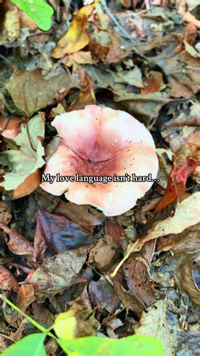 Nature, hiking being outdoors that’s all I ask for! My heart is so full when I get to spend time soaking in the beauty and peacefulness of the outdoors! #nature #hikingtiktok #hiking #girlswhohike #lovelanguage