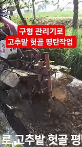 Elderly person leveling furrows in chili pepper field with an old-style tiller #shorts