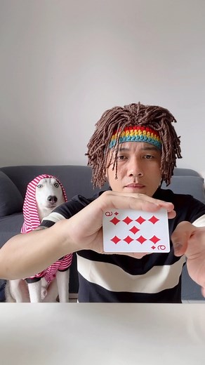 148K views · 5.8K reactions | Decode magic tricks by Moca #dog #dogs #husky #magic #tricks #mocathehusky | Moca Cho Dien | Facebook