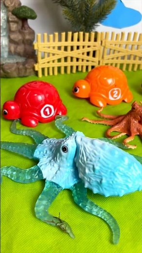 Counting 1 to 5 with Amazing OCTOPUS Toys!!