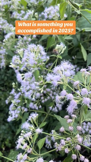 Reflecting is half of learning. If you don’t stop and think about what you’ve done or have not, how will you continue to evolve. ? #reflection #mentalheath