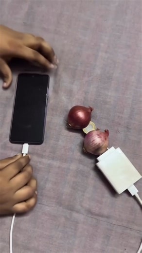 394K views · 2.6K reactions | Onion charge mobile  #science #viral #experiment #short | vk experiencet | Facebook
