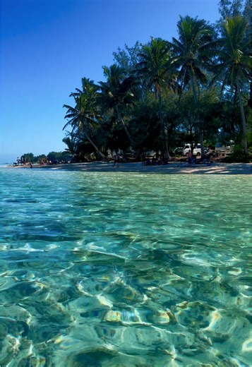 Discover the Beauty of Rarotonga's Beaches