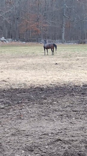 Cheyenne Martin on Reels