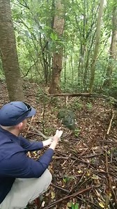 77K views · 1K reactions | Python Was Nice And Comfy Under the...