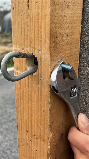 Wood Hook Mounting Trick No Splitting #shortvideo