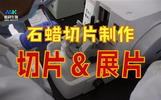 免疫组化 | 石蜡切片制作之切片与展片的具体实验步骤与注意事项~