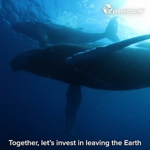 Dear Earth, It is time we confessed what we have unearthed, to you: you can live without us, but we cannot live without you. We’re on a collective journey in our relationship with the Earth, and it’s time we changed the way we approach, consume, and dispose of its material resources. Join the humans of social recycling from around the world and pledge to invest in your relationship with the Earth at https://bit.ly/40F4CPp. #PlasticBank #SocialPlastic #SocialRecycling #HumansofSocialRecycling #Oc