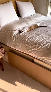 7.3K views · 599 reactions | Good night  | Sleepy Cats | Facebook