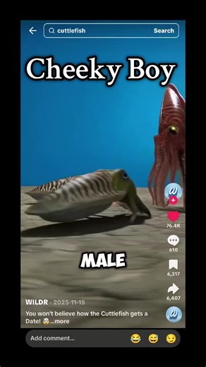 A method as old as time 🤣🤣#djahseyan #fyp #funny #reaction #cuddlefish