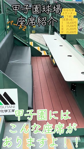 甲子園球場の座席紹介と阪神タイガース情報