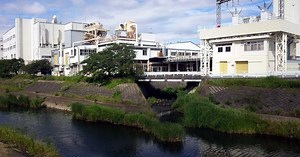 12-foot python found in Yokohama after evading authorities for 16 days