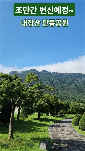 조만간 변신예정~내장산 단풍공원.정읍 Naejangsan Maple Park, Jeongeup