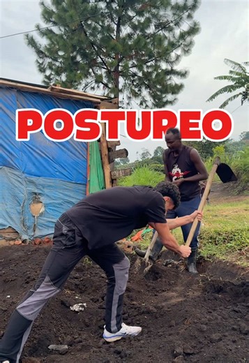 Voluntariado: Una Experiencia Vital