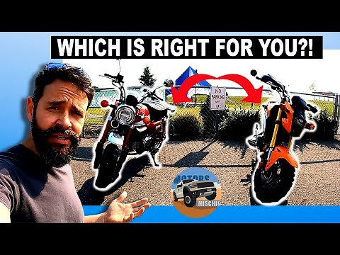 Honda Monkey vs Grom - Is one Better?