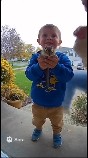 1.5M views · 33K reactions | A chipmunk or a wild nut biter? | The Varney Family | Facebook