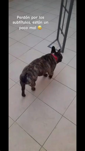 Rutina de mañana 😎