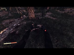 fallout 4 xbox series x immersive mod interacion Animations