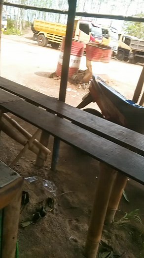 pemain ke 12 (@acepetokpasda)’s videos with suara asli - Marwah - WR. Collection