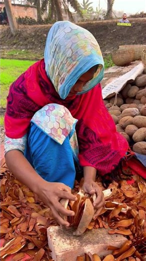 See how mahogany fruit is cracked open and used😱😮#viral #amazing #foryou #shorts