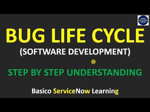 Bug Life Cycle Phases | Bug Life Cycle Explanation