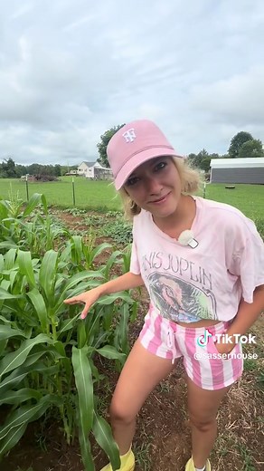 Garden tour of my dreams: Emily’s thriving homestead garden