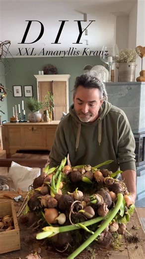 Tim Binz on Instagram: "X X L Amaryllis K R A N Z Ich habe zwei Römer übereinander gewickelt damit Ihr die Höhe bekommt. Mit Moos gesteckt und die Amaryllis wie die Speise Zwiebeln mit Schaschlik Hölzer in den Kranz gepickt. Zum Schluss könnt Ihr mit Tulpen Zwiebeln die Lücken Füllen . Die Amaryllis öffnen jetzt wochenlang nacheinander ihre Blüten. Zwischendurch etwas besprühen und ihr habt sehr lange einen wunderschönen blühenden Kranz Probiert es Aus 🙋‍♂️🫶 ->gerne speichern & teilen ♥️ DIY F
