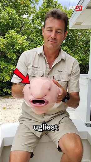 😱 The Ugliest Fish in the World?
