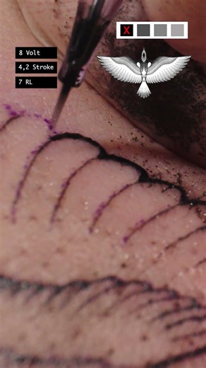 How to Tattoo Different Skin Types #tattoo #tattootutorial