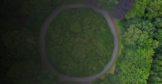 Deloitte Sustainability Services | Deloitte China