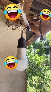 813K views · 13K reactions | Teknologyk 藍藍藍 #reelsvideoシ #funny #technology #funnyvideos #funnyvideosdaily #viralpost2025シ | Fabrica De Râs | Facebook