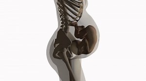Pregnant woman with baby animation, transparent background