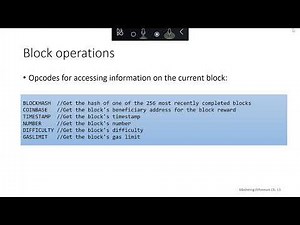 The Ethereum Virtual Machine Instruction Set