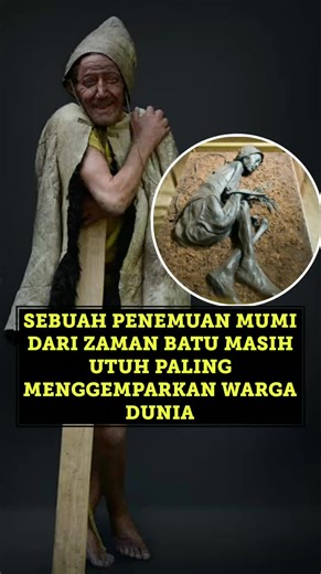 Penemuan mumi manusia tollund yang masih utuh sejak jaman batu, salah satu mumi paling menakjubkan. Follow 👉🏻 @dee.mediaa untuk mendapatkan informasi yang unik dan menarik seputar fakta dunia setiap hari. #MisteriManusiaTollund #MumiRawa #SejarahMisteri #ZamanBesi #TollundMan #MisteriDenmark #ArkeologiKuno #RahasiaDunia #CeritaSejarah #MisteriTerpecahkan