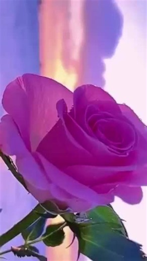 Love Poetry: Heartfelt Verses Celebrating Love