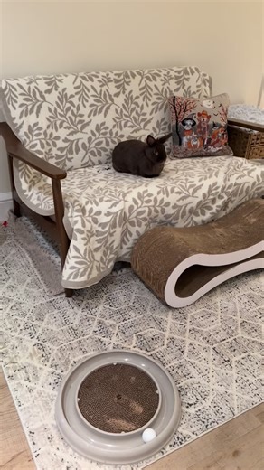 Beth Stern on Instagram: "SunnyBUMBUN is her new nickname! 💩💩💩💩💩💩💩🛋️🤦‍♀️"