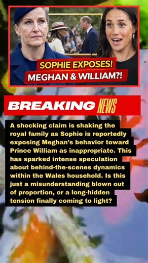Sophie EXPOSES Meghan Over William?! #RoyalDrama #RoyalScandal #BreakingNews