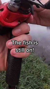 Fishing gone wrong: This should not happen