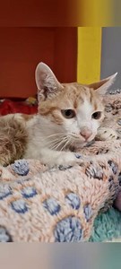 41K views · 9K reactions | Ciao zii oggi è un giorno speciale per...