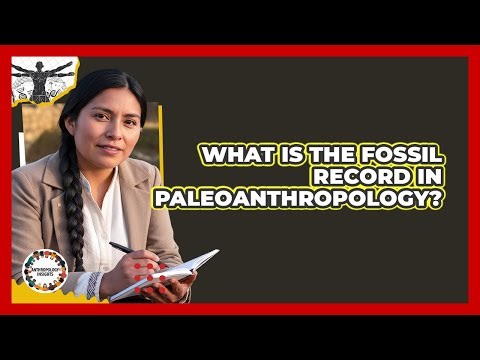 What Is The Fossil Record In Paleoanthropology?